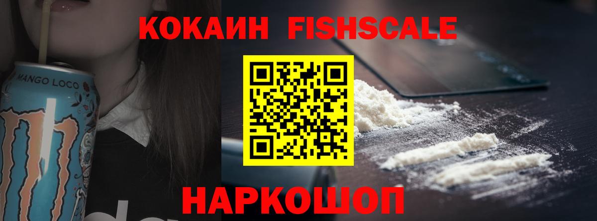 COCAIN Fish Scale Заводоуковск