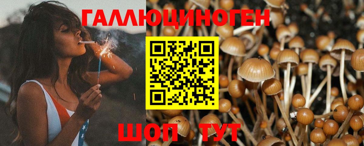 Псилоцибиновые грибы MAGIC MUSHROOMS  Вход с VPN  Галлюциногенные грибы Cubensis  Заводоуковск 